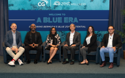 Blue Zone Panel – Small