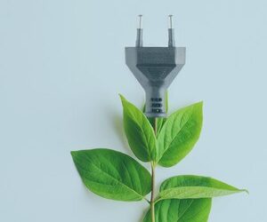 10 simple ways to live more sustainably