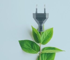 10 simple ways to live more sustainably