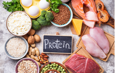 Fuel Your Day_ The Importance of Protein and Ways to Increase Intake